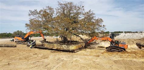 houston mature tree relocation  We use an 80" BIG JOHN tree spade truck to remove trees both small and large